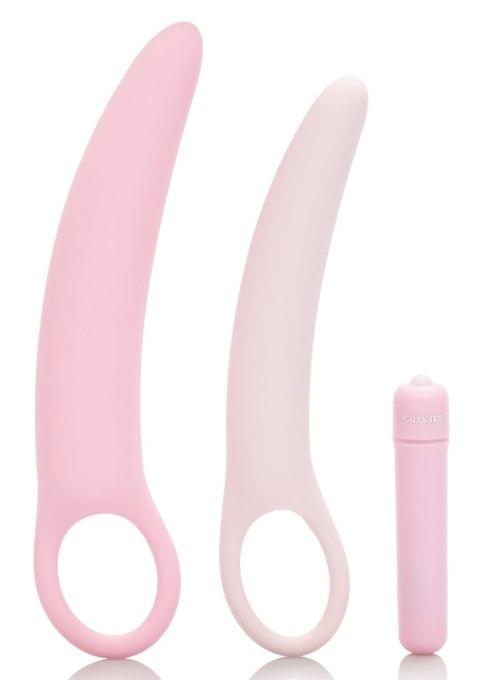 Wibrator-INSPIRE VIBRATING DILATOR KIT Wibrator-INSPIRE VIBRATING DILATOR KIT