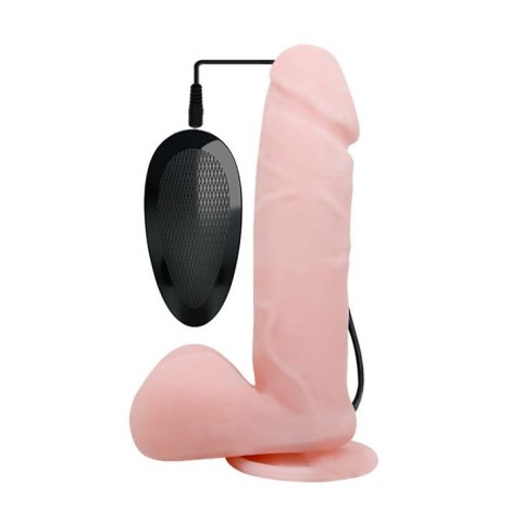 Penis jak prawdziwy członek jądra dildo 19cm Penis jak prawdziwy członek jądra dildo 19cm