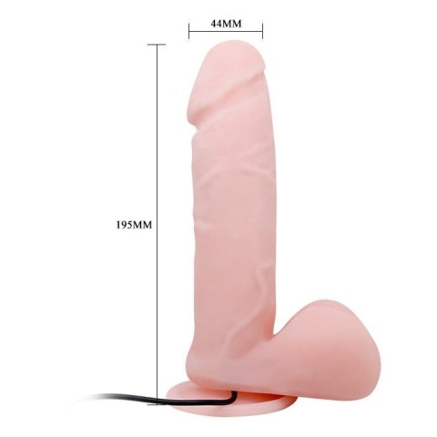 Penis jak prawdziwy członek jądra dildo 19cm Penis jak prawdziwy członek jądra dildo 19cm