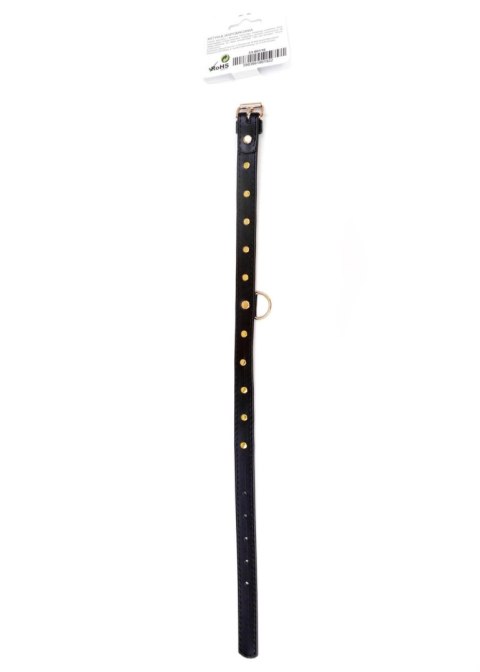 Bdsm bondage dominacja obroża 2cm skórzana złoty Bdsm bondage dominacja obroża 2cm skórzana złoty