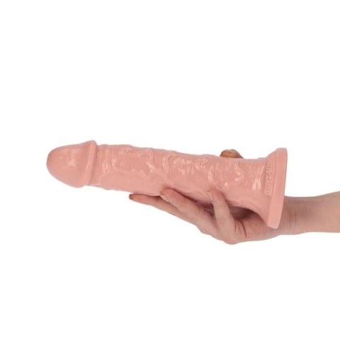 Dildo grube żyły członek naturalny sex penis 20cm Dildo grube żyły członek naturalny sex penis 20cm