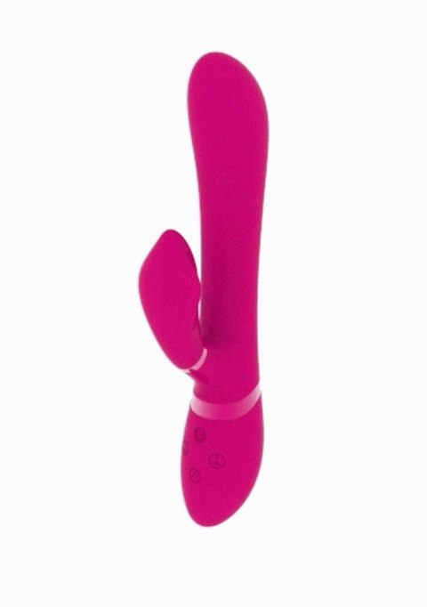 Chou - Pink Chou - Pink