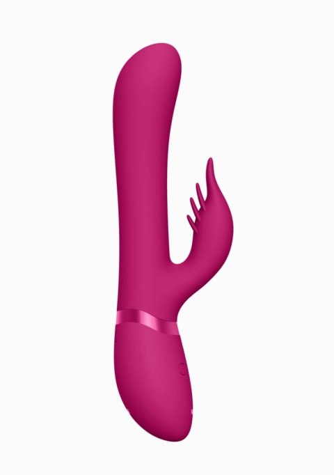 Chou - Pink Chou - Pink