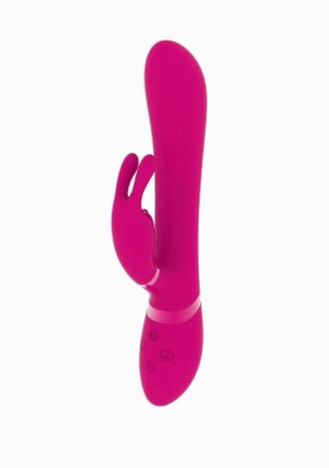 Chou - Pink Chou - Pink