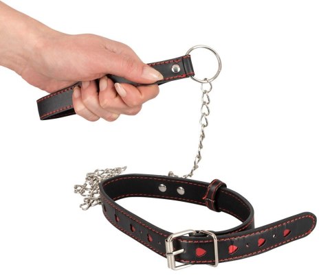 OBROŻA COLLAR AND LEASH 13-4749 OBROŻA COLLAR AND LEASH 13-4749