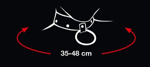 OBROŻA COLLAR AND LEASH 13-4749 OBROŻA COLLAR AND LEASH 13-4749