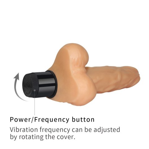 DILDO 8'' REAL FEEL 24-0020 DILDO 8'' REAL FEEL 24-0020