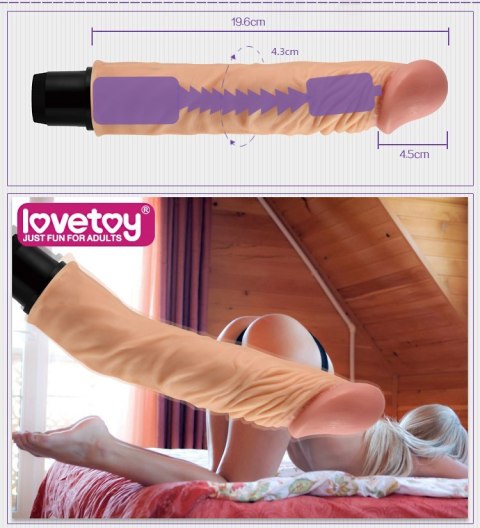DILDO 9.5 FLEXI VIBRATOR 24-0023 DILDO 9.5 FLEXI VIBRATOR 24-0023