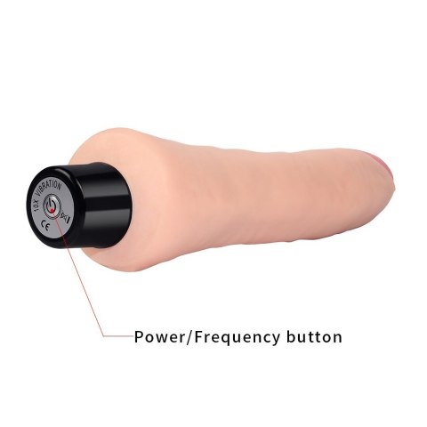 DILDO 9 REAL SOFTEE 24-0015 DILDO 9 REAL SOFTEE 24-0015