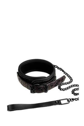 OBROŻA BLAZE COLLAR AND LEASH PURPLE 25-1546
