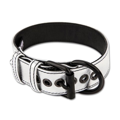 OBROŻA BONDAGE FETISH METALLIC PUP COLLAR WITH LEASH 24-0329 LOVETOY