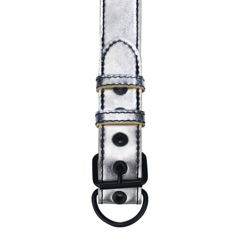 OBROŻA BONDAGE FETISH METALLIC PUP COLLAR WITH LEASH 24-0329 LOVETOY