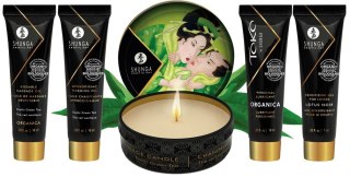 GEISHA 14-3737