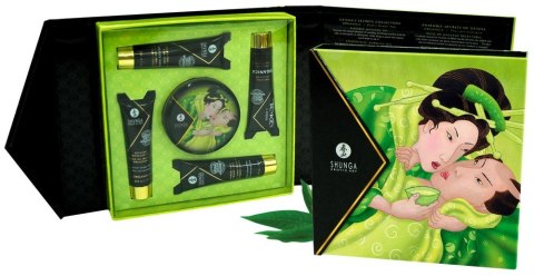 GEISHA 14-3737 GEISHA 14-3737