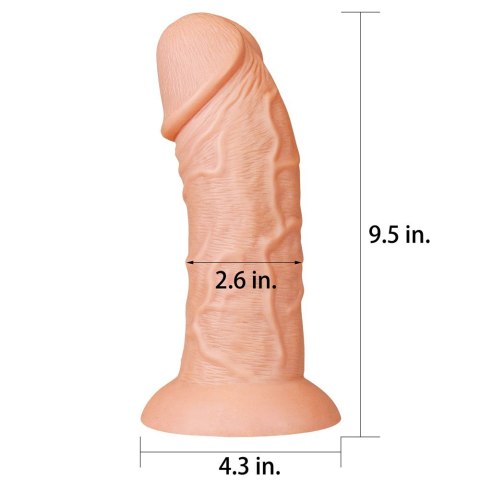 DILDO 9.5'' REALISTIC CURVED DILDO 24-0202 DILDO 9.5'' REALISTIC CURVED DILDO 24-0202