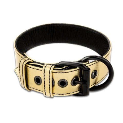 OBROŻA BONDAGE FETISH METALLIC PUP COLLAR WITH LEASH 24-0550 OBROŻA BONDAGE FETISH METALLIC PUP COLLAR WITH LEASH 24-0550