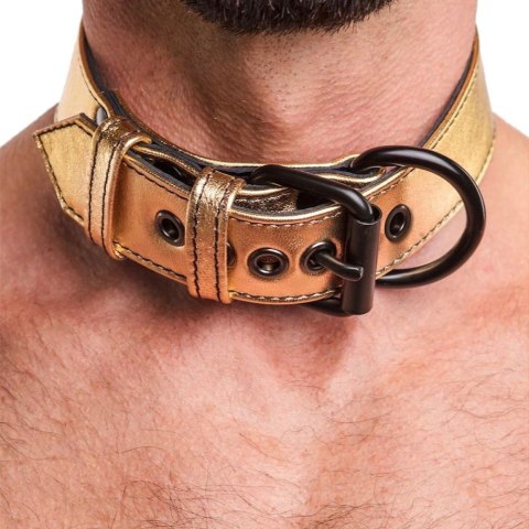 OBROŻA BONDAGE FETISH METALLIC PUP COLLAR WITH LEASH 24-0550 OBROŻA BONDAGE FETISH METALLIC PUP COLLAR WITH LEASH 24-0550